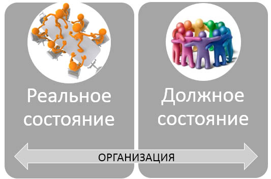 Диагностика организации-2