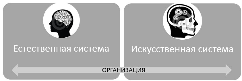 Диагностика организации конструктивисты и объективисты