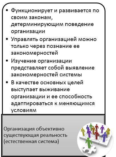 Диагностика организации- естественная система