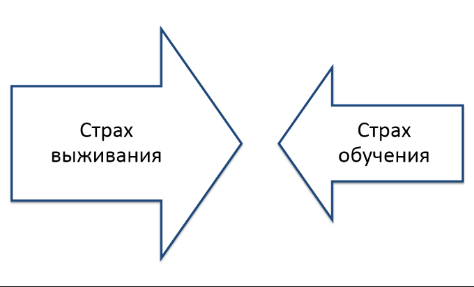 страх обучения и выживания