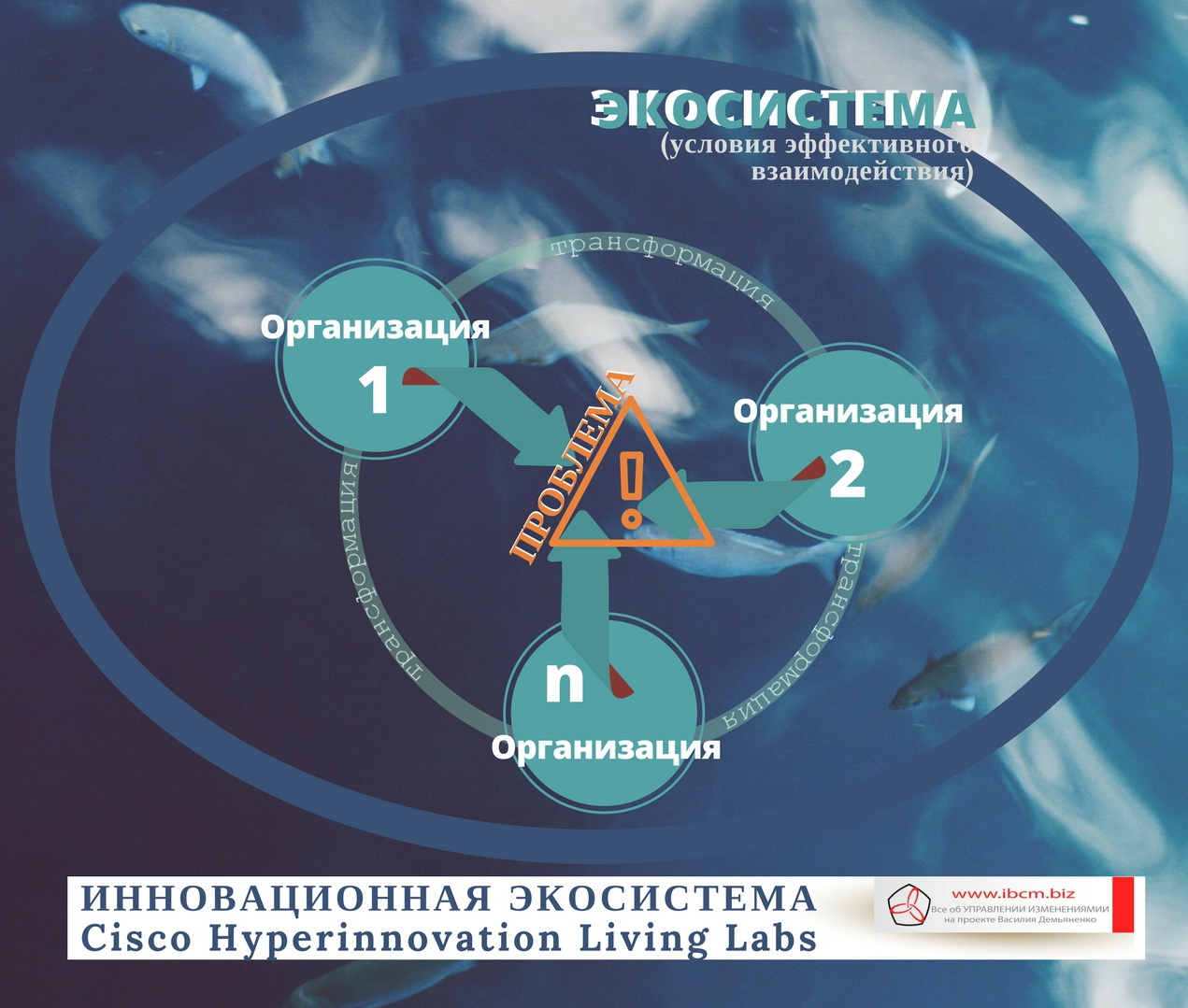 Экосистема инноваций