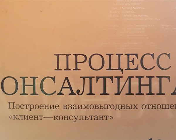 Управленческий консалтинг (Э.Шейн)